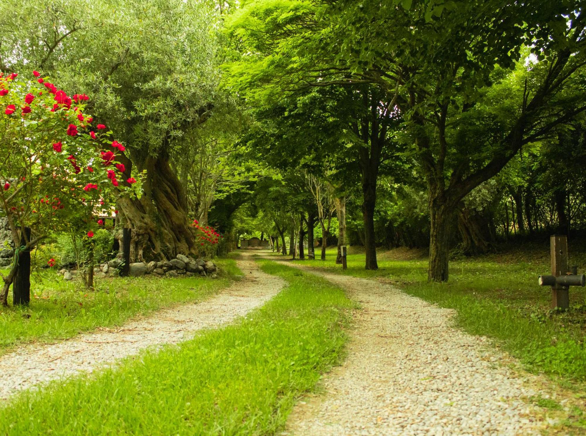 Villa Ciclopark Morano Calabro Exterior foto